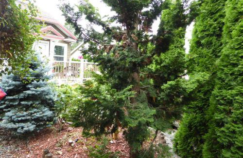 Sweet tiny house - Foto 24