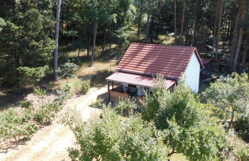 Wald&Wiesengeflüster Zechlinerhütte - Foto 1