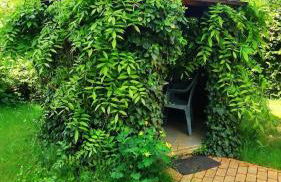 Spreewälder Schwalbenhof - Ferienhaus "Schwalbennest" - Foto 11