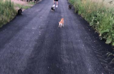 Lincoln Holiday Retreat Lodge with Private Hot Tub - Foto 49