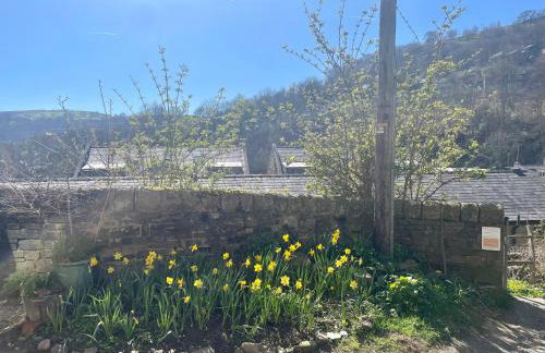 Windsor View - Foto 11