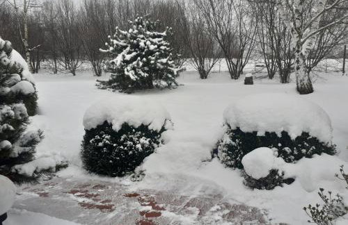 Przytulne Studio Borówkowy Zagajnik - Foto 29