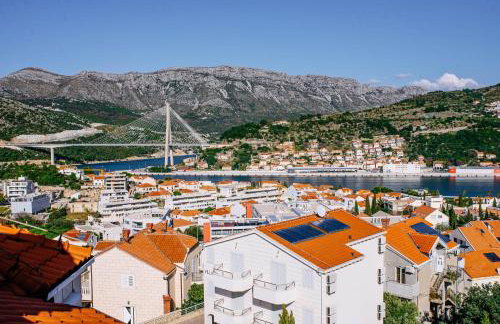 Vila Curic - Photo 110