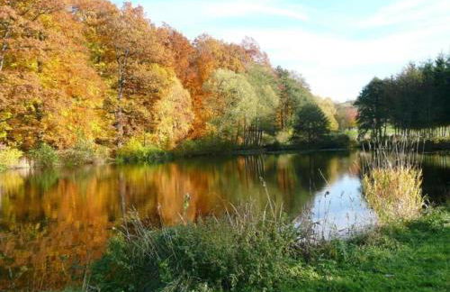 Wohnung in Waldnähe - Foto 28