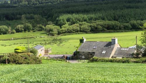 Caban Cwtch The Cosy Cabin - Foto 3