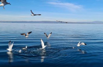 Apartments Klara - Photo 4