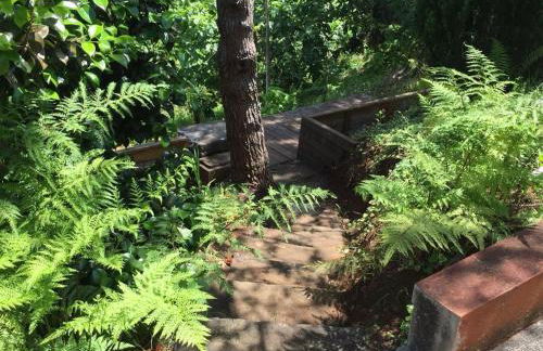 Casa d'Olívia - Photo 20