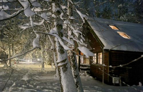 Siedlisko Janopole - Foto 4