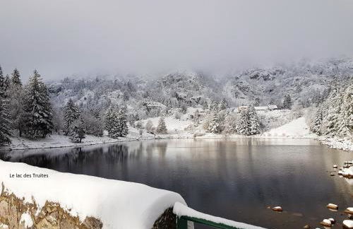 Appartement chaleureux à Soultzeren avec vue sur montagne - Foto 29