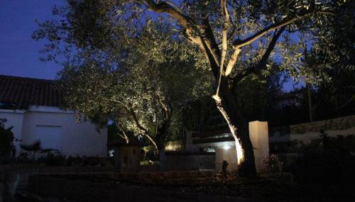 Orhideja Apartment - Foto 2, Garden