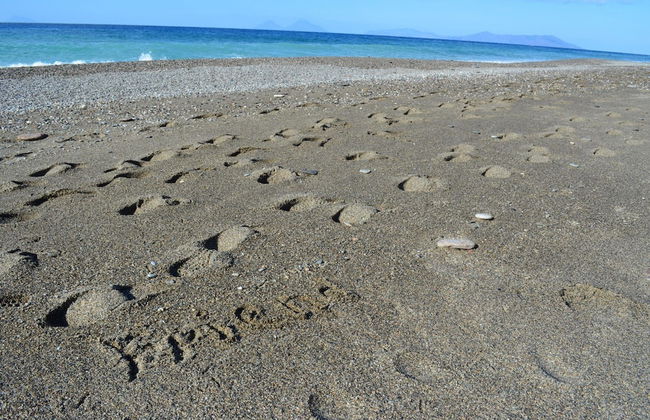 Room-michelangelo House, Bilo - Foto 32