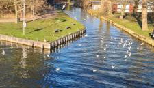 City Villé Ferienwohnung Innenstadt - Foto 3