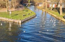 City Villé Ferienwohnung Innenstadt - Foto 3