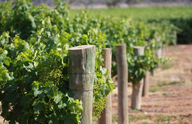 Mundic Waterfront Cottages - Foto 22