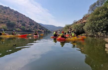 Quinta do Chao D'Ordem - Foto 64