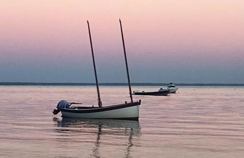 Cocon entre presqu'île du Cap Ferret et plages océanes - terrasse - 1 vélo gratuit - Foto 24