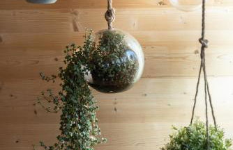 L'Oasis des Coccinelles - Foto 53