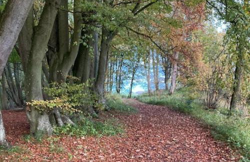 Buchanan Park - Photo 25