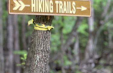 The Great Escape by Simple Life Rentals - Foto 17