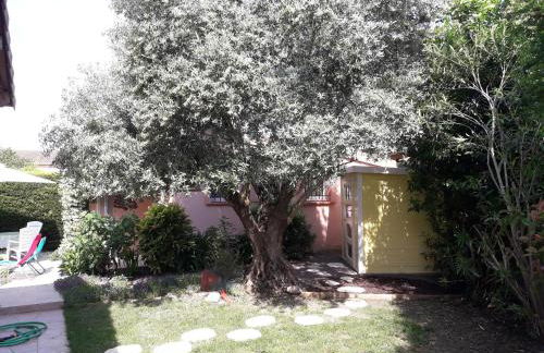 Les Cyprès Florentins - Foto 10