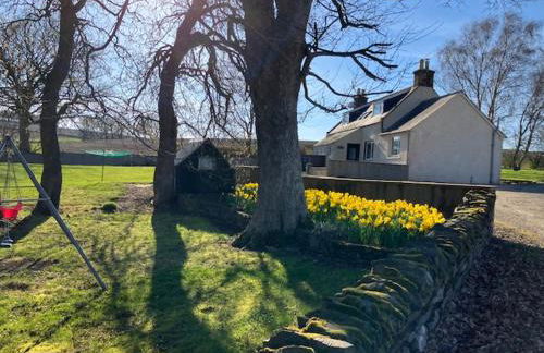 Eastwood Cottage - Photo 13