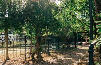 Finca Vitoria - Foto 35