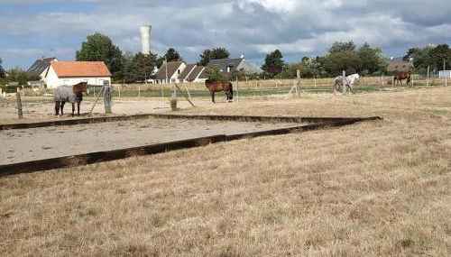 Le gîte du havre - Photo 3