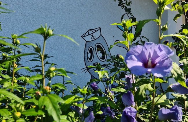 Ferienhaus Seestern - Foto 28