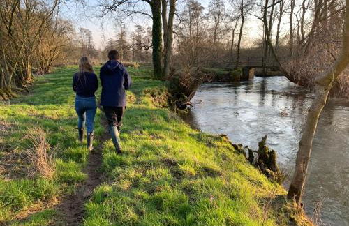 Trillow House, Clungunford, Ludlow - Foto 39