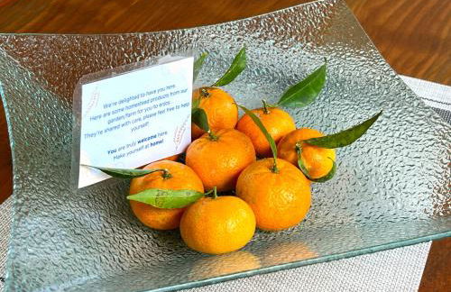 Green Valley Cruzinhas House with Fireplace & BBQ - Foto 19