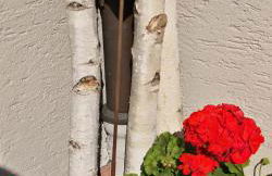 FeWo Steinau an der Straße, Marborn - Foto 5