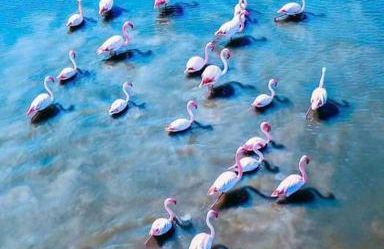 Castello Attic Sunset Terrace - Foto 12