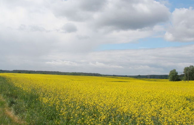 Pleasant Holiday Home Near Town Center - Foto 16