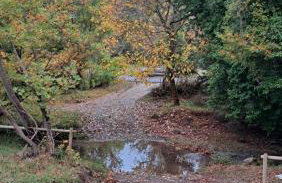Wood Cabins by the River - for Nature Lovers - Photo 64