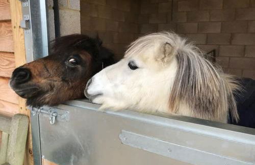 The Coach House - Photo 11