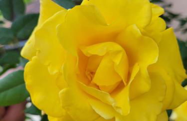 Casa Intignano - appartamento con terrazzo vista lago - Foto 20