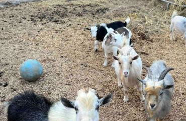 Relaxing Modern stay on a Ranch - Foto 64