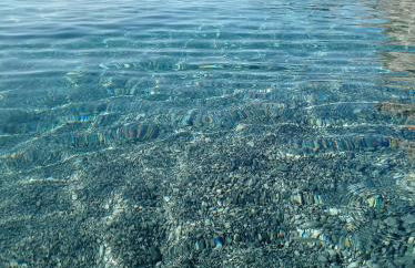 Blasu Home - Foto 10