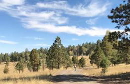 Grand Canyon 1bd Loft at Historic Wrigley Ranch-Suite with Horseback Riding, Hiking - Foto 26