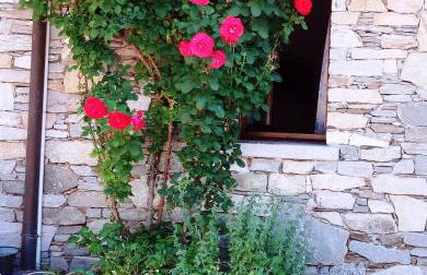 Casa Cicala - Foto 6