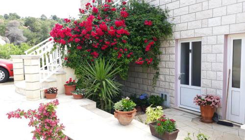 Apartments Pecotić - Foto 3