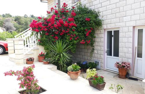 Apartments Pecotić - Foto 3