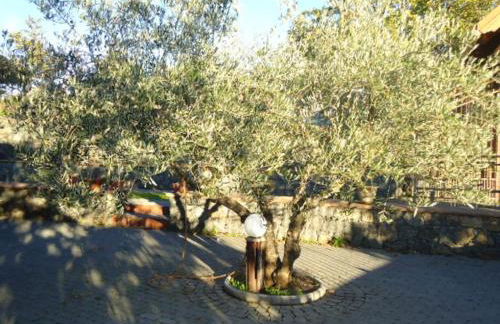 Casa Monte Etna - Foto 67