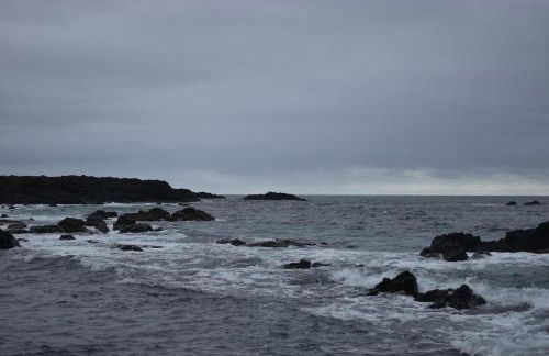 Casa Cruzeiro AL - by the sea OCEANTUR - Photo 21