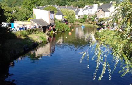 Au gite du bois d'amour - Foto 35