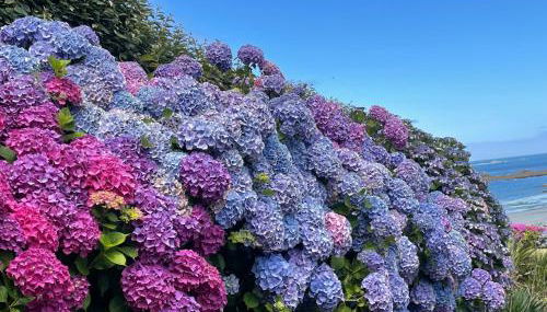 Maisonnette, Résidence les gîtes de Trestel - Foto 4