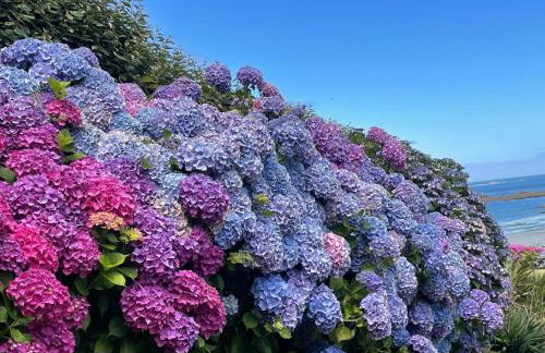 Maisonnette, Résidence les gîtes de Trestel - Foto 4