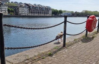 Riverside 1BR with Easy Transport 20min to City Centre - Photo 61