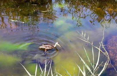 Sun, Sky and Sea - Foto 56