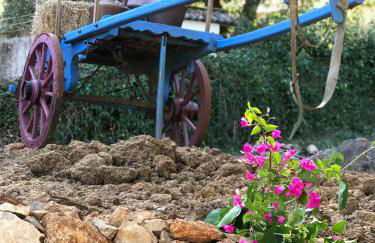 Casal das Nogueiras, casas rurais de charme agradáveis e acolhedoras - Foto 46